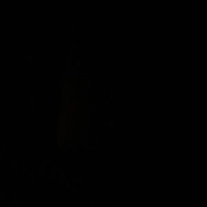 Meet your Posher, Addie